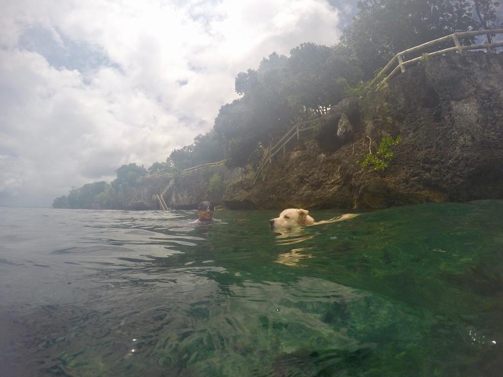 Alexis Cliff Dive Resort Panglao Esterno foto