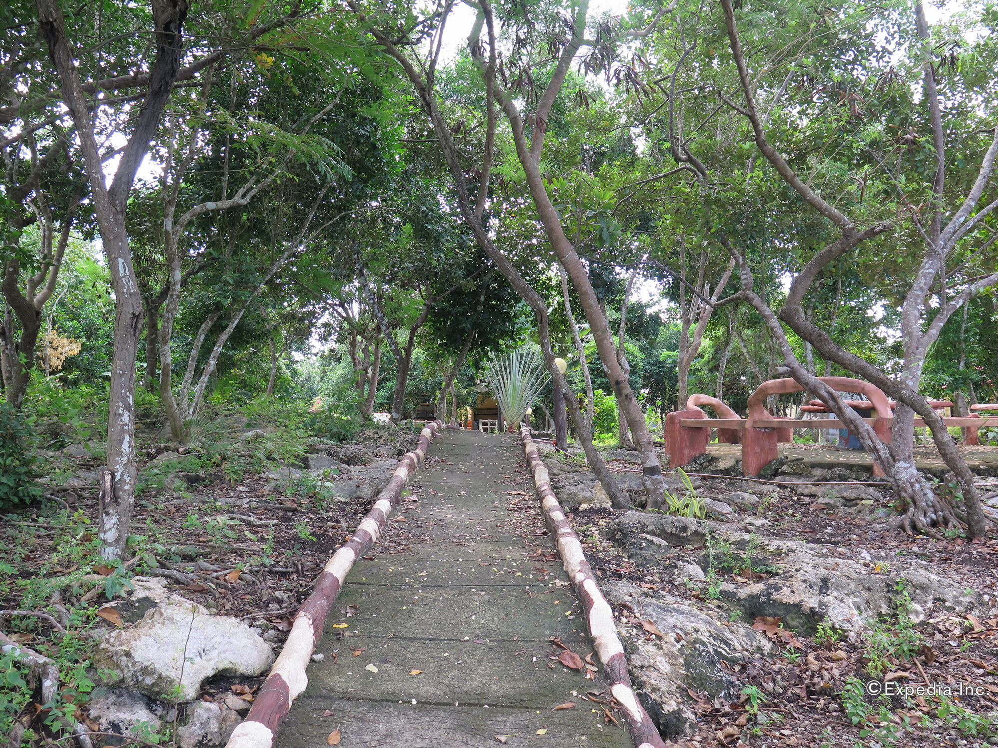 Alexis Cliff Dive Resort Panglao Esterno foto